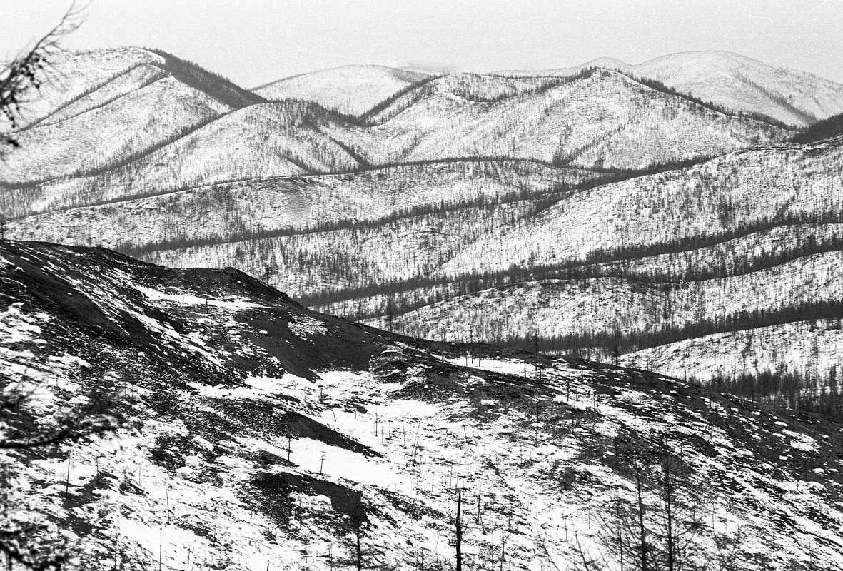 Предгорья Джугджура, Хабаровский край, где вела добычу тумановская артель старателей «Восток». Фото: Александр Лыскин / РИА Новости