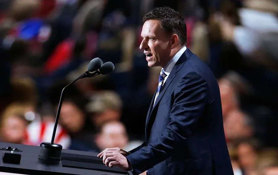 Питер Тиль. Фото: REUTERS / Carlo Allegri