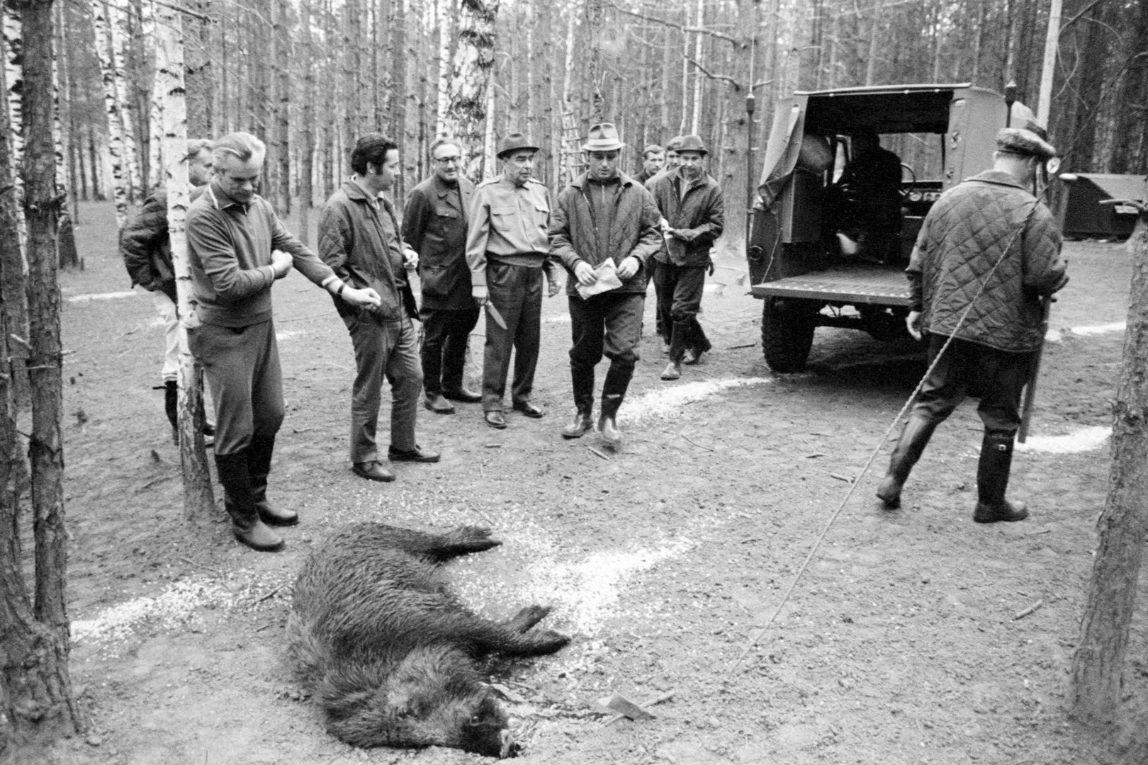 Завидово, 1973 год. Фото: Владимир Мусаэльян / ТАСС